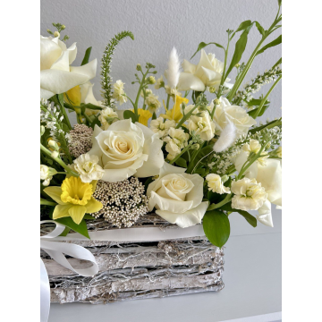 photo_2023-04-25_22-19-18