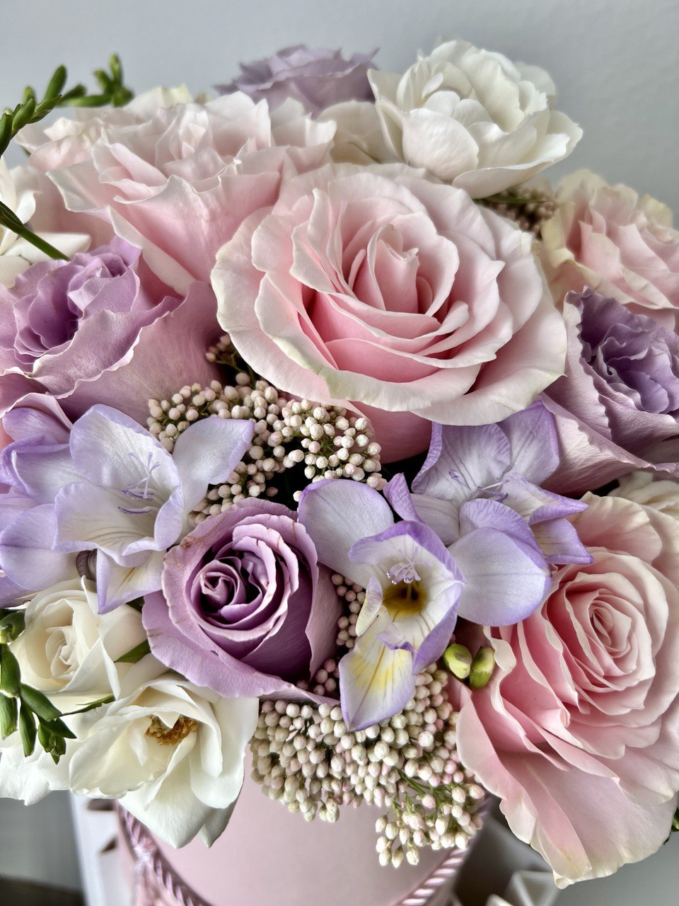 photo_2023-04-25_22-21-11