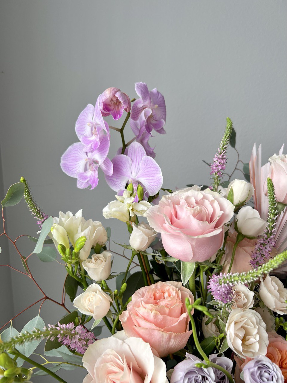 photo_2023-05-08_12-41-36