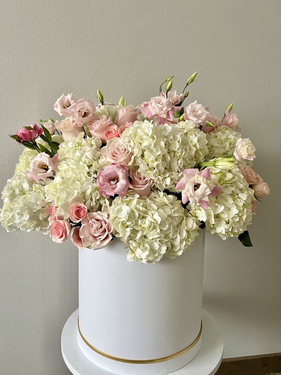 photo_2023-10-23_22-24-26