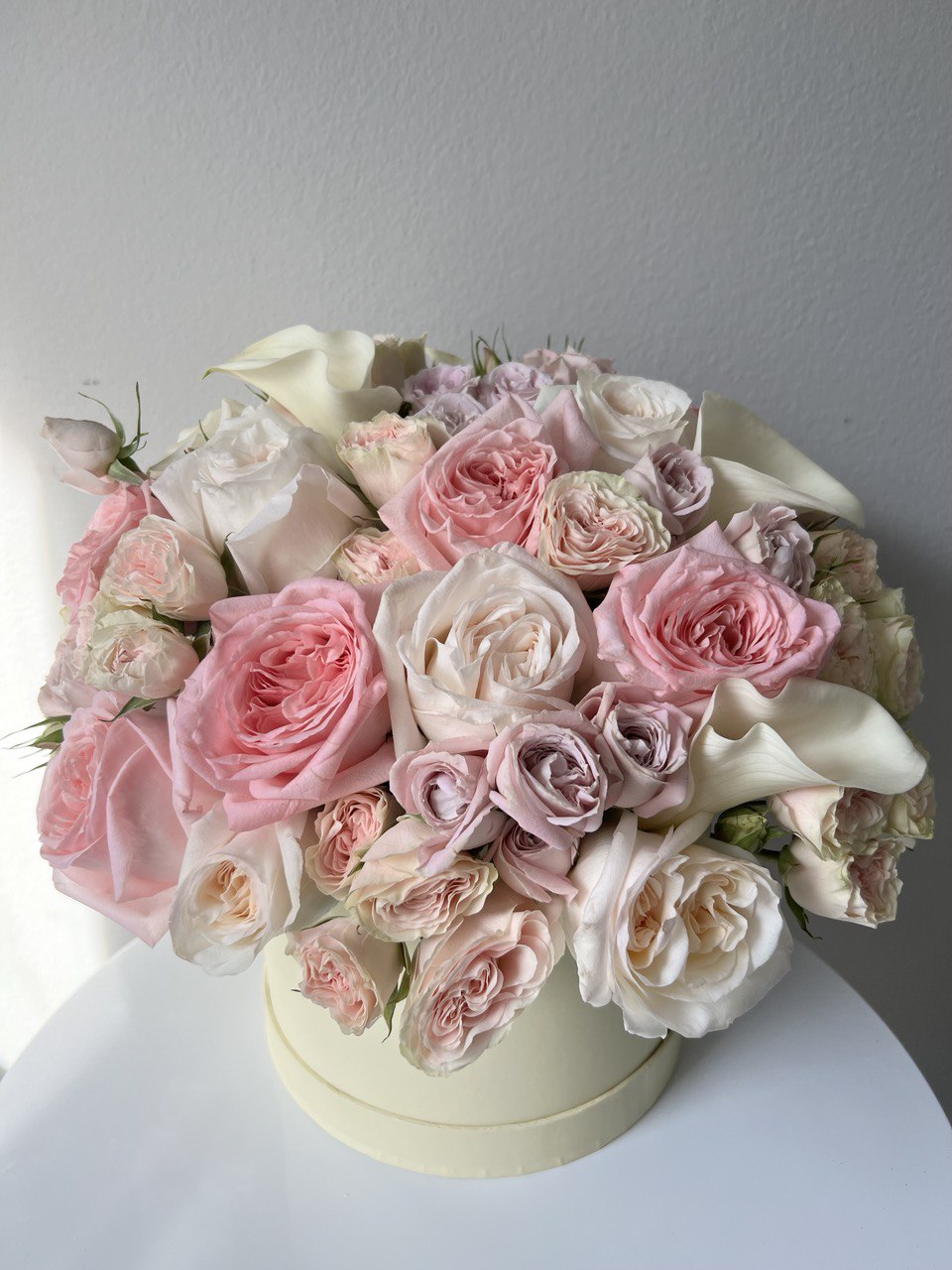 photo_2024-01-15_23-10-58