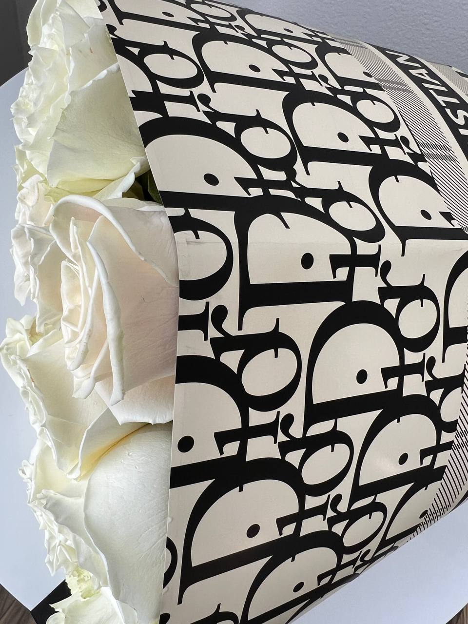 photo_2024-02-09_01-43-29