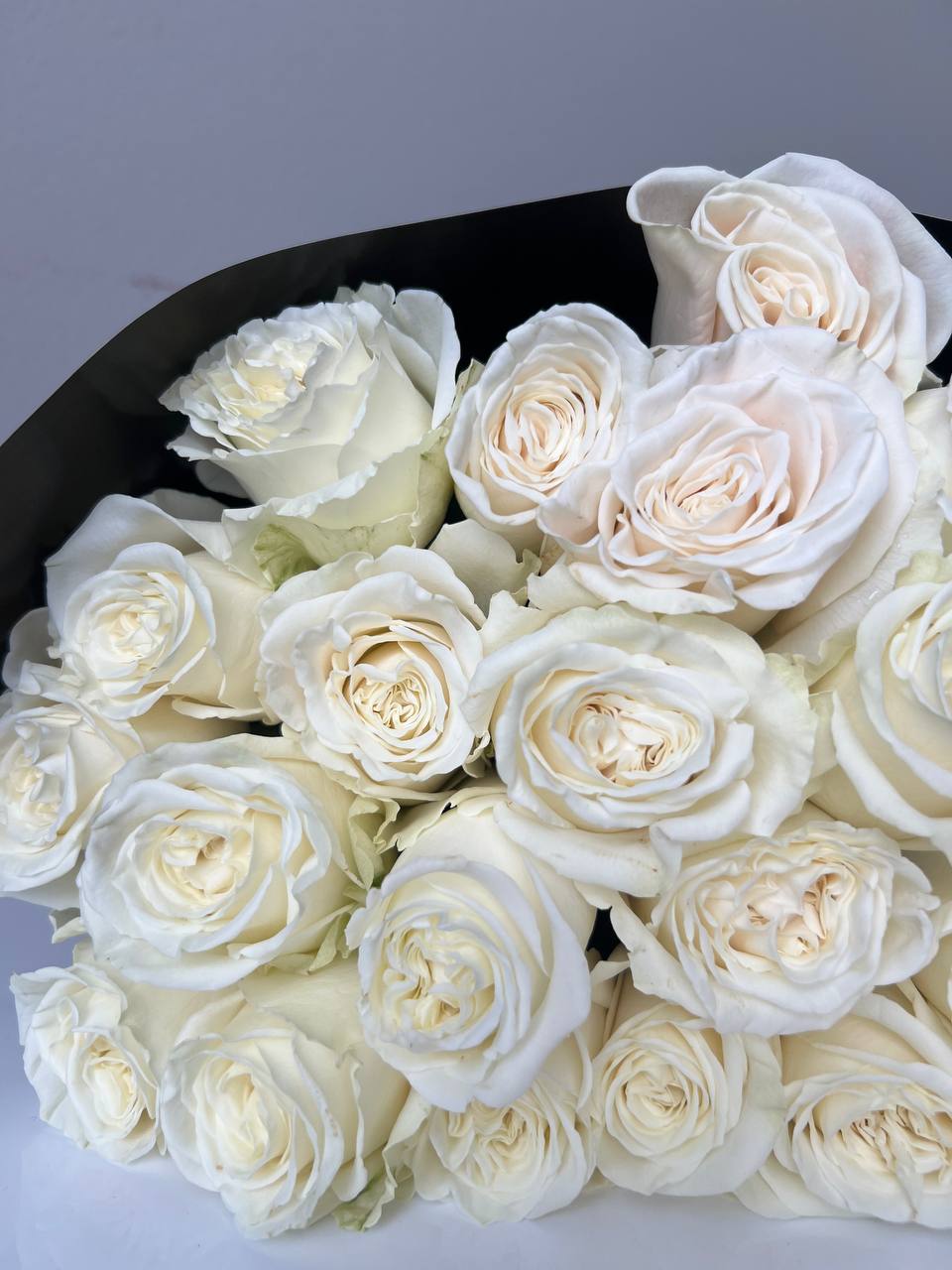 photo_2024-02-09_01-43-29 (3)