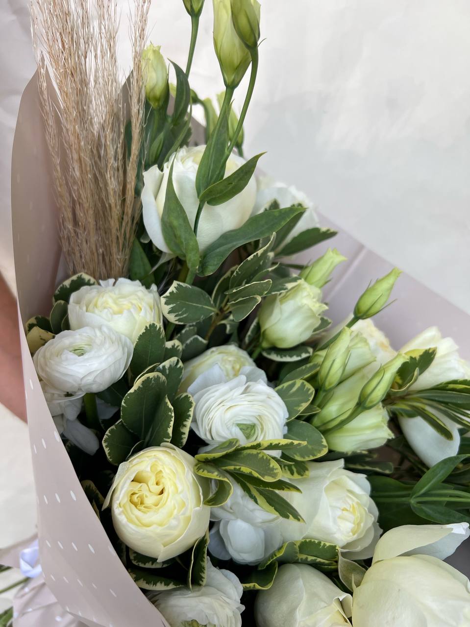 photo_2024-11-12_15-43-53 (2)