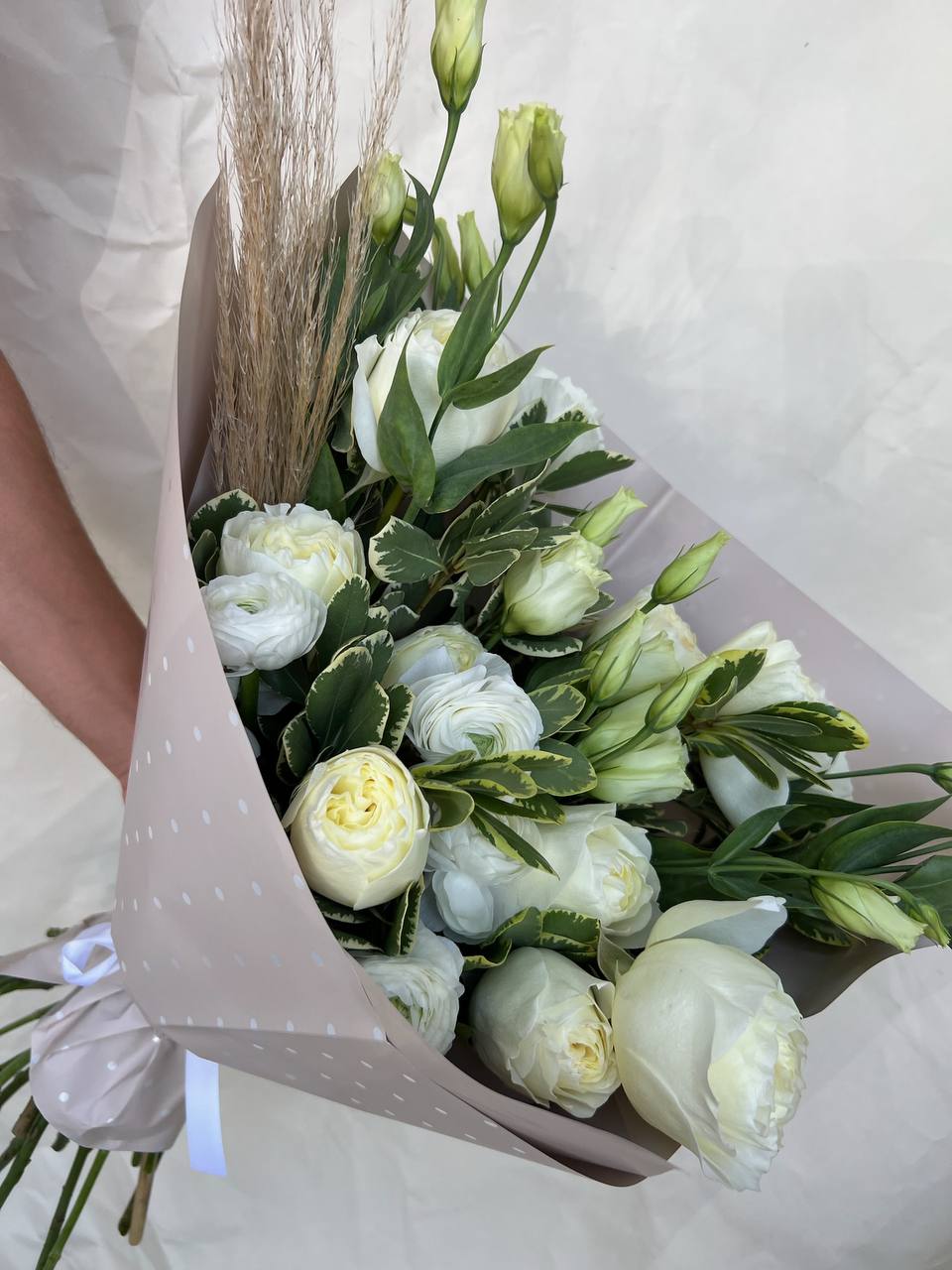 photo_2024-11-12_15-43-53