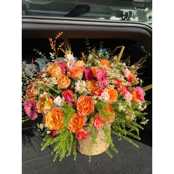 Queen of Autumn