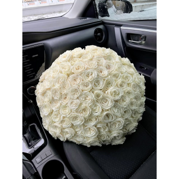 100 Roses white 60cm