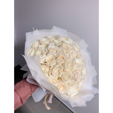 50 Roses white 50cm