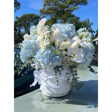 Soft Sky Bloom
