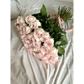 50 roses pink 50cm