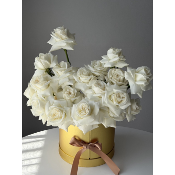 White & Gold  ( Surprise Box )