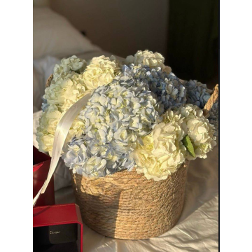 Hydrangea Basket