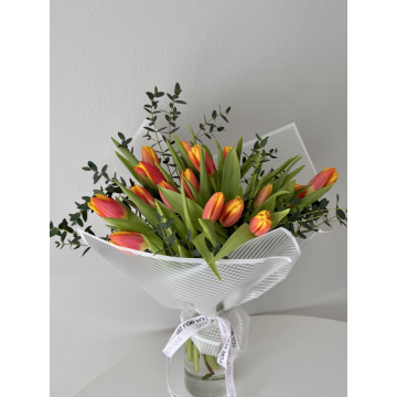 Orange tulips