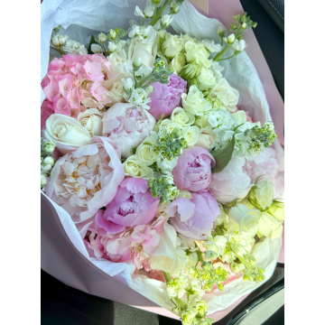 Peony Bliss