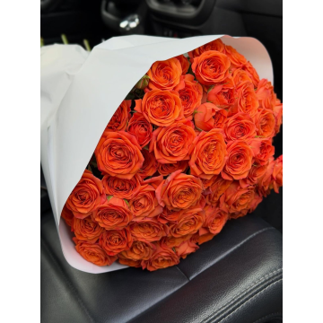 Orange roses