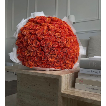 100 roses orange