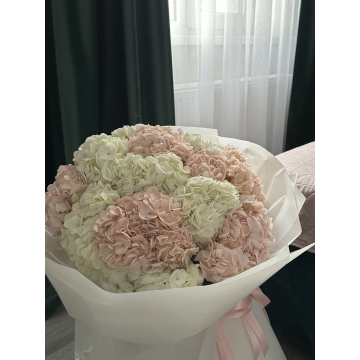 Sweet Hydrangea