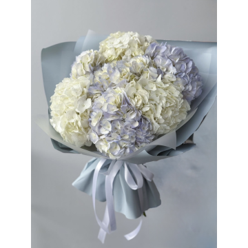 Cloud of Hydrangeas