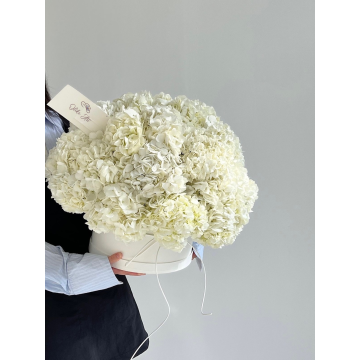 Hydrangea Box