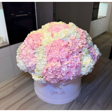 Hydrangea Soft box